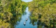 Noosa Everglades - Canoe & River Cruise image 4