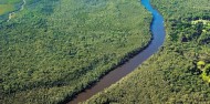 Noosa Everglades - Afternoon River Cruise image 6