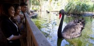 Taronga Zoo Guided Tour - Aboriginal Discovery Tour image 4