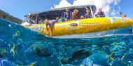 Cape Tribulation 2 Trips Deal - Ocean Safari & Ocean Rafting image 6