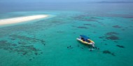 Cape Tribulation 2 Day Combo Tour - Rainforest & Reef Snorkel image 6