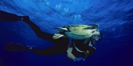 Liveaboard Dive Boat - Divers Den image 1