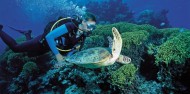 Liveaboard Dive Boat - Divers Den image 7