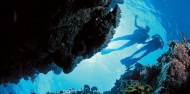 Liveaboard Dive Boat - Divers Den image 5