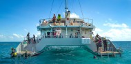 Reef Boat Day Trip - Passions of Paradise image 5