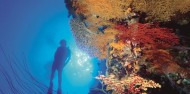 Learn to Dive Course - 4 Days - Port Douglas - Blue Dive image 6