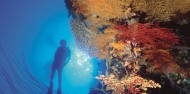 Reef Boat Day Trip - Port Douglas - Poseidon image 6