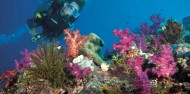 Reef Boat Day Trip - Port Douglas - Poseidon image 4