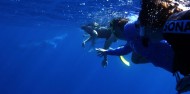 Reef Boat Day Trip - Port Douglas - Poseidon image 7