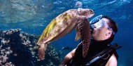 Liveaboard Dive Boat -  Pro Dive image 1