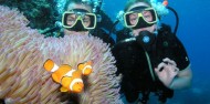 Learn to Dive Course - 5 days - Pro Dive image 1