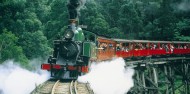 Puffing Billy & Blue Dandenongs image 3