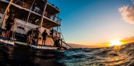 Reef Boat Overnight - Reef Encounter image 4