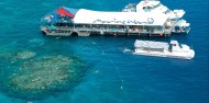 Reef Fly & Cruise Combo - Reef Magic image 6