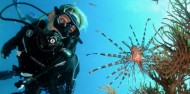 Learn to Dive Course - 3 Days - Reef Encounter image 1