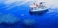 Learn to Dive Course - 3 Days - Reef Encounter image 2