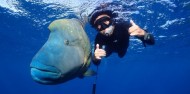 Reef Boat Overnight  - Rum Runner image 5