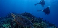 Reef Boat Overnight  - Rum Runner image 7