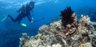 Reef Boat Overnight  - Rum Runner image 8