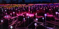 Uluru Sunrise & Field of Light image 1