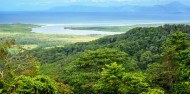 Uncle Brians - Cape Tribulation 1 Day Tour image 2