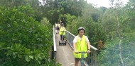 Segway - Cairns City Tour image 4