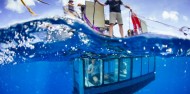 New shark viewing Aqua sub.