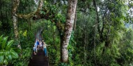 Skyrail Rainforest Cableway image 5