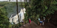 Skyrail Rainforest Cableway image 4