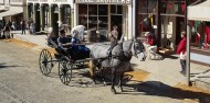 Sovereign Hill Day Tour image 4