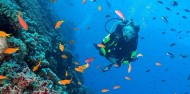 Liveaboard Dive Boat - Cod Hole & Coral Sea image 2