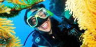 Liveaboard Dive Boat - Cod Hole & Coral Sea image 8