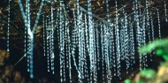 Glow Worms, Star Gazing & Goomoolahra Falls image 4