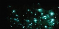 Glow Worms, Star Gazing & Goomoolahra Falls image 5