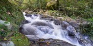 Tablelands Eco Tour - Northern Experience image 3