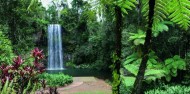 Tablelands Eco Tour - Northern Experience image 2