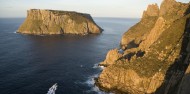 Tasman Island Cruises image 5