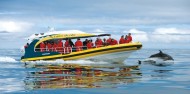 Tasman Island Cruises image 6