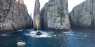 Tasman Island Cruises image 3