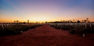Uluru Sunrise & Field of Light image 4