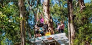 Ziplining - TreeTop Challenge Tamborine Mountain image 4