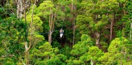 Ziplining - TreeTop Challenge Tamborine Mountain image 3