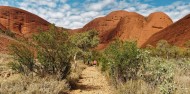 Uluru & Kata Tjuta 3 Day Break image 3