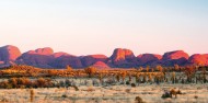 Ayers Rock Overnight Tour image 1