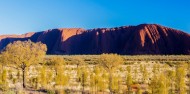 Ayers Rock Overnight Tour image 6