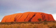 Uluru Sacred Sights & Sunset image 2