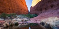 Uluru Sunrise & Kata Tjuta Tour image 7