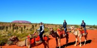 Camel Rides - Uluru Camel Tours image 8