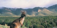 Grampians National Park Day Tour image 5