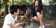 Taronga Zoo Guided Tour - Aboriginal Discovery Tour image 5